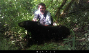 Bear001-2012