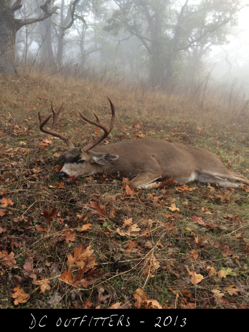 1Blacktail030