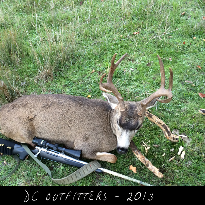 1Blacktail031