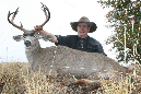 Blacktail003