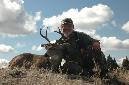 Blacktail016