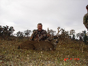 Blacktail017