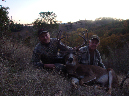Blacktail019