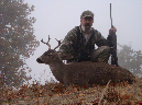 Blacktail020