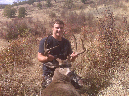 Blacktail024