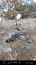 Whitetail001-2012-1