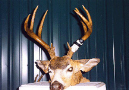 Previous-Seasons025