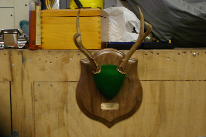 Taxidermy011