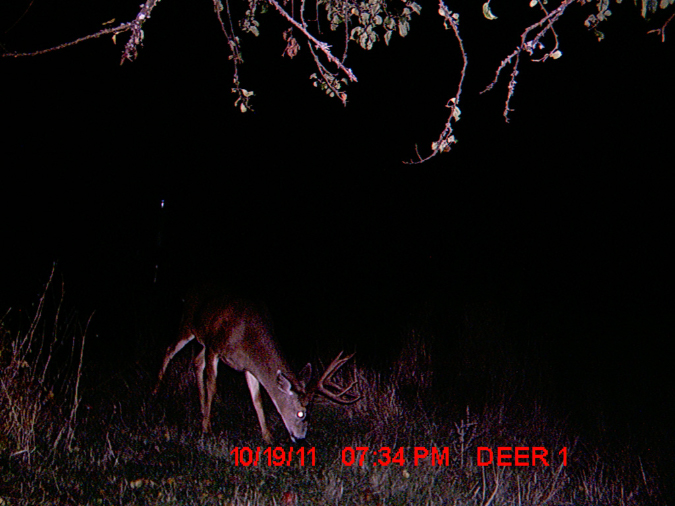 MDGC0012