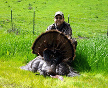 Turkey005