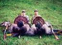 Turkey010