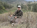 Whitetail009